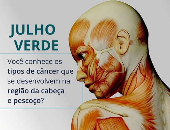 julho_verde_1785767473.jpg